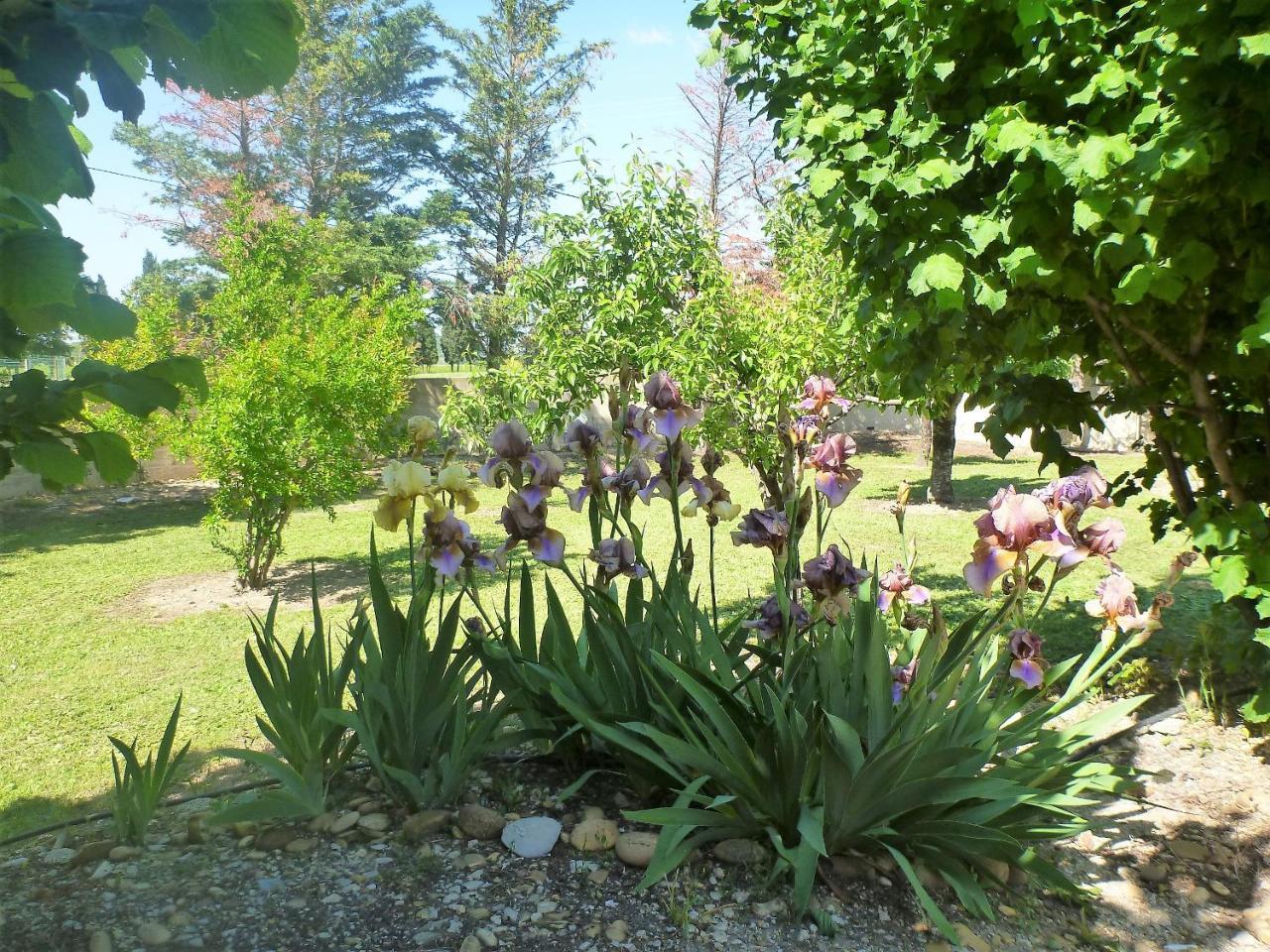 Le Mas De Gleyzes B&B de Charme Lédenon Buitenkant foto